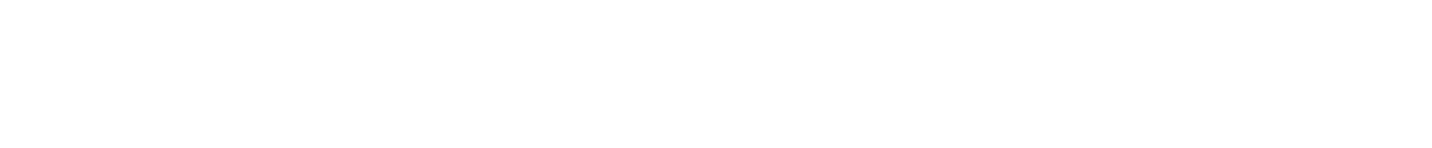 Marketron Electronic Services