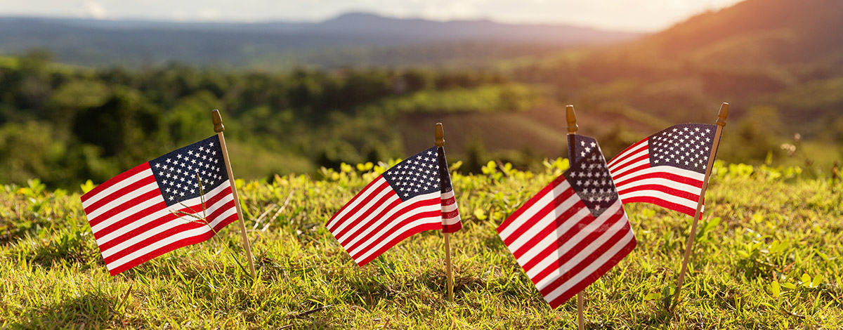 Memorial Day Observance Program Ideas : Williams Township Veterans Day Observance - Lehigh ...