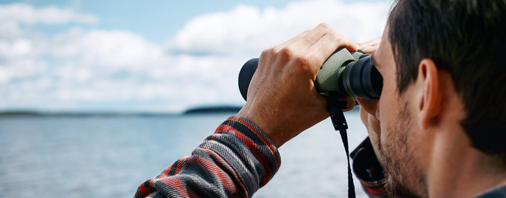 Midyear Local Digital Advertising Trends Revealed