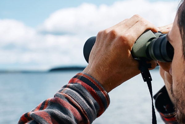 Midyear Local Digital Advertising Trends Revealed